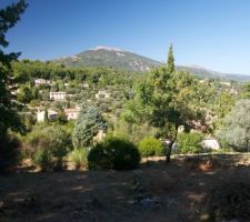 Vue après déboisement