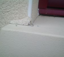 Un bout de cr&eacute;pis qui part mais c'est pas grave c'est ESTHETIQUE