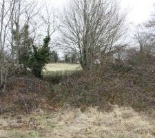 Terrain entr&eacute;e avant travaux