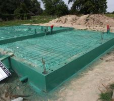 Traitement anti termites