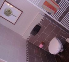 Salle de bain (toilette)