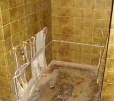 Ancienne salle de bain (douche)