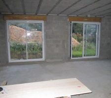 Les 2 baies vitrées de la pièce principale
