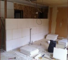 Mur du salon en carreaux de platre