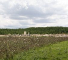 Viabilisation du terrain - Ces bornes sont celles de notre futur chez nous :)