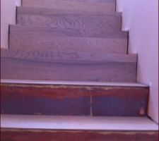 Mise en place parquet dans escalier à la place du béton.