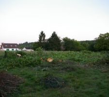 PARTIE GAUCHE DU TERRAIN MOINS LES CERISIERS