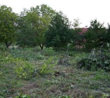 VUE VERS LE FOND DU TERRAIN