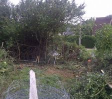 L'ouverture de la haie pour le passage des engins..... il est 13h ! et j'en suis &agrave; la moiti&eacute; !