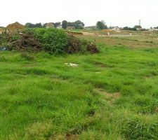 Depuis l'arri&egrave;re du terrain.