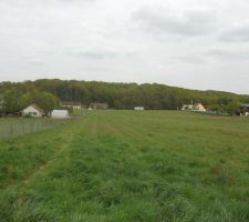 Coté gauche du terrain
