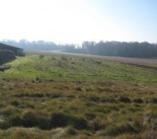 Voici la vue qu'on aura en regardant par la baie vitr&eacute;e
