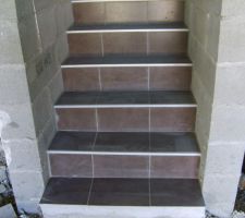 Escaliers du vide sanitaire