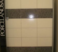 Carrelage mur   interieur douche italienne