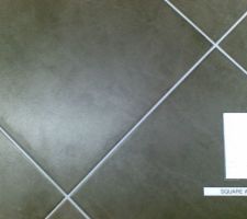 Carrelage pour la salle de bain couleur weng&eacute;.