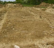 Le terrassement commence enfin!!!