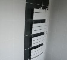 S&egrave;che-serviette nefertiti soufflant (atlantic)