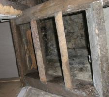 Montée de cave