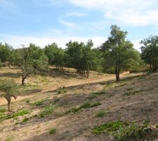 Vue du bas à droite