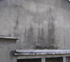 Probl&egrave;mes d'infiltrations sur fa&ccedil;ade arri&egrave;re