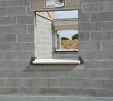 Appuis de fen&ecirc;tres et seuil