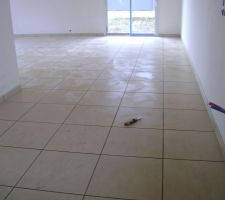 Caralage salon sejour cuisine