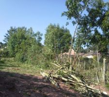 D&eacute;broussaillage avant intervention de l'entreprise de terrassement pour cr&eacute;ation du chemin d'acc&egrave;s