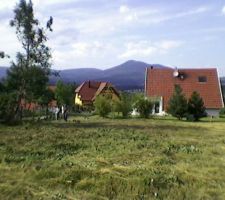 D&eacute;brouissaillage