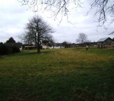 Petite photo du terrain