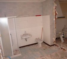 D&eacute;molition de la salle de bain