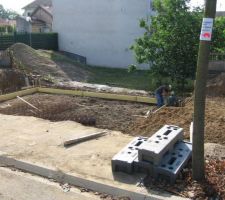 En plein plantage...