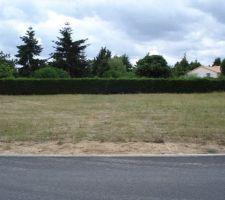 Vue de face du terrain