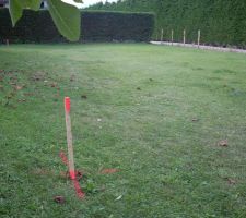 Implantation maison pour réalisation de la plateforme.