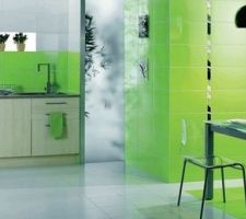 Et celui de la futur salle de bain ..vert pomme

carrelage LE ROUX QUIMPER
