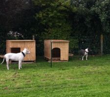 Niche des chiens, fabrication maison !!!