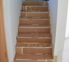 Les escaliers prot&eacute;ger par le peintre...