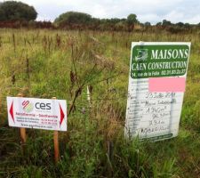 Terrain avant débroussaillage