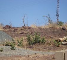 Le terrain est rocailleux...pas simple!!