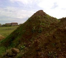 Terre (surement végétale).