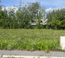 Terrain en juillet 2011