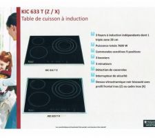 Plaque induction