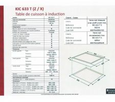 Plaque induction descriptif