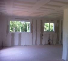 Bandes de plâtre - séjour