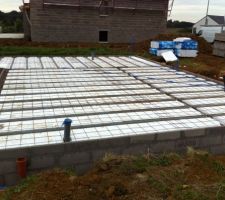 Hourdis polystyrène sur partie habitation, treillis posés