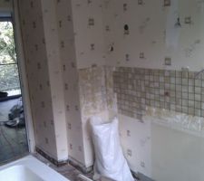 Cuisine : Mur à tomber / Vue depuis la fenêtre