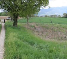 Terrain : vue EST (Vercors), 1250 m2 du photographe jusqu'au champ de blé et au petit bonhomme au coin Sud Est.