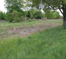 Vue Ouest, jusqu'au ronces ! &ccedil;a pique mais il y aura des m&ucirc;res !