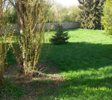 Photo prise dans le terrain
