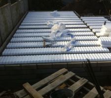 Vide sanitaire de 60