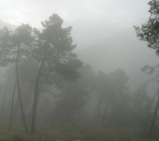 Après un orage!!